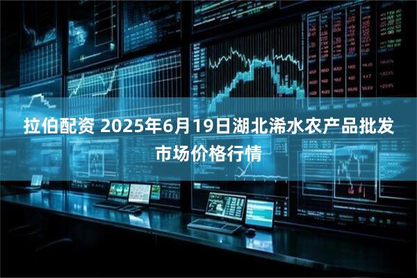 拉伯配资 2025年6月19日湖北浠水农产品批发市场价格行情