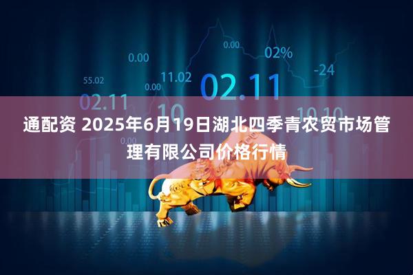 通配资 2025年6月19日湖北四季青农贸市场管理有限公司价格行情