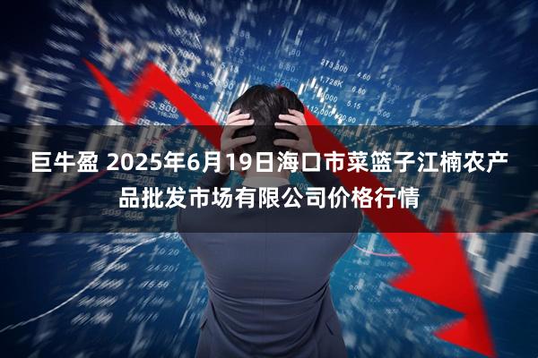 巨牛盈 2025年6月19日海口市菜篮子江楠农产品批发市场有限公司价格行情