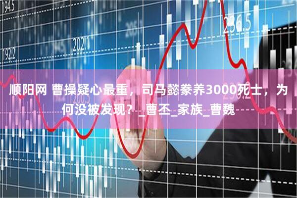 顺阳网 曹操疑心最重，司马懿豢养3000死士，为何没被发现？_曹丕_家族_曹魏