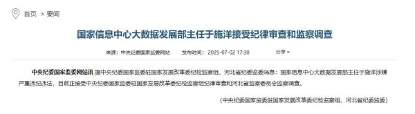 飞乐乐 国家信息中心大数据发展部主任于施洋接受审查调查