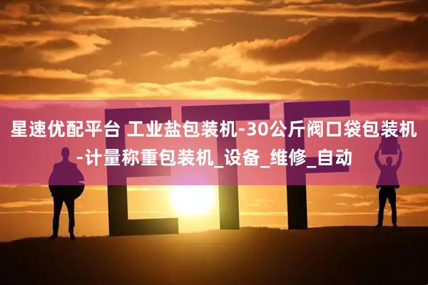 星速优配平台 工业盐包装机-30公斤阀口袋包装机-计量称重包装机_设备_维修_自动