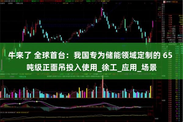牛来了 全球首台：我国专为储能领域定制的 65 吨级正面吊投入使用_徐工_应用_场景