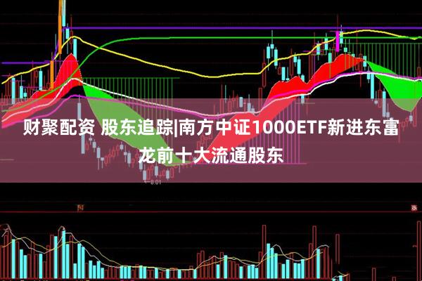 财聚配资 股东追踪|南方中证1000ETF新进东富龙前十大流通股东