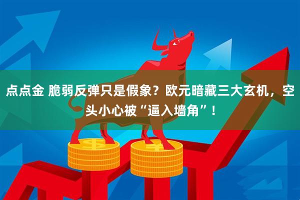 点点金 脆弱反弹只是假象？欧元暗藏三大玄机，空头小心被“逼入墙角”！