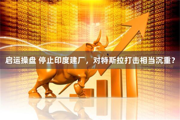启运操盘 停止印度建厂，对特斯拉打击相当沉重？